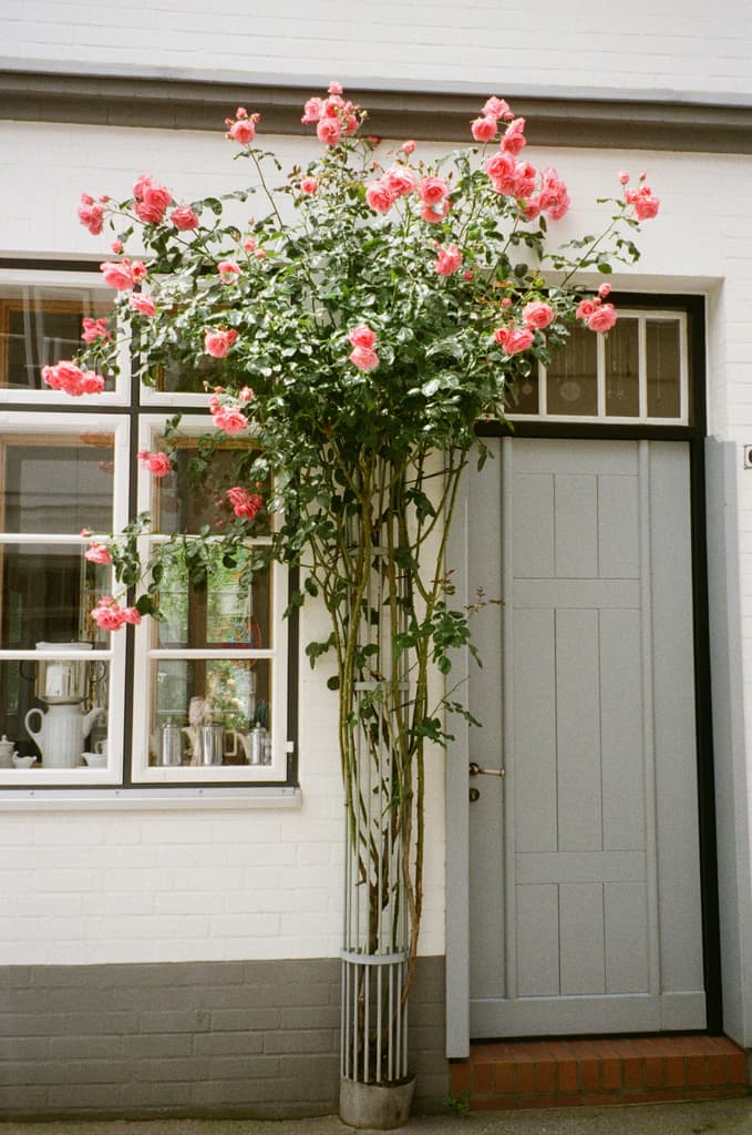 The Future of AI: Opportunities and Challenges