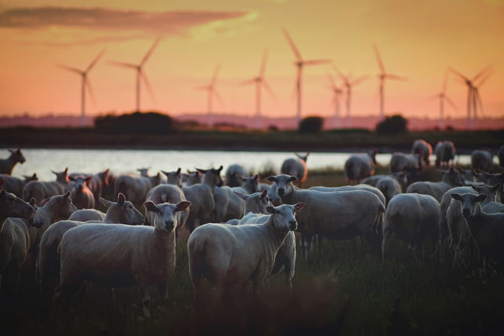 Advancing Sustainability for Lasting Growth